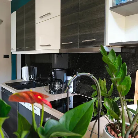 Apartment Urban
